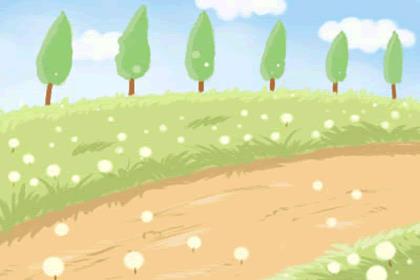 狮子座女生性格特点知乎（狮子座女生性格分析）