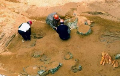 ​信阳楚国大墓主人是谁(信阳楚国大墓墓主人)