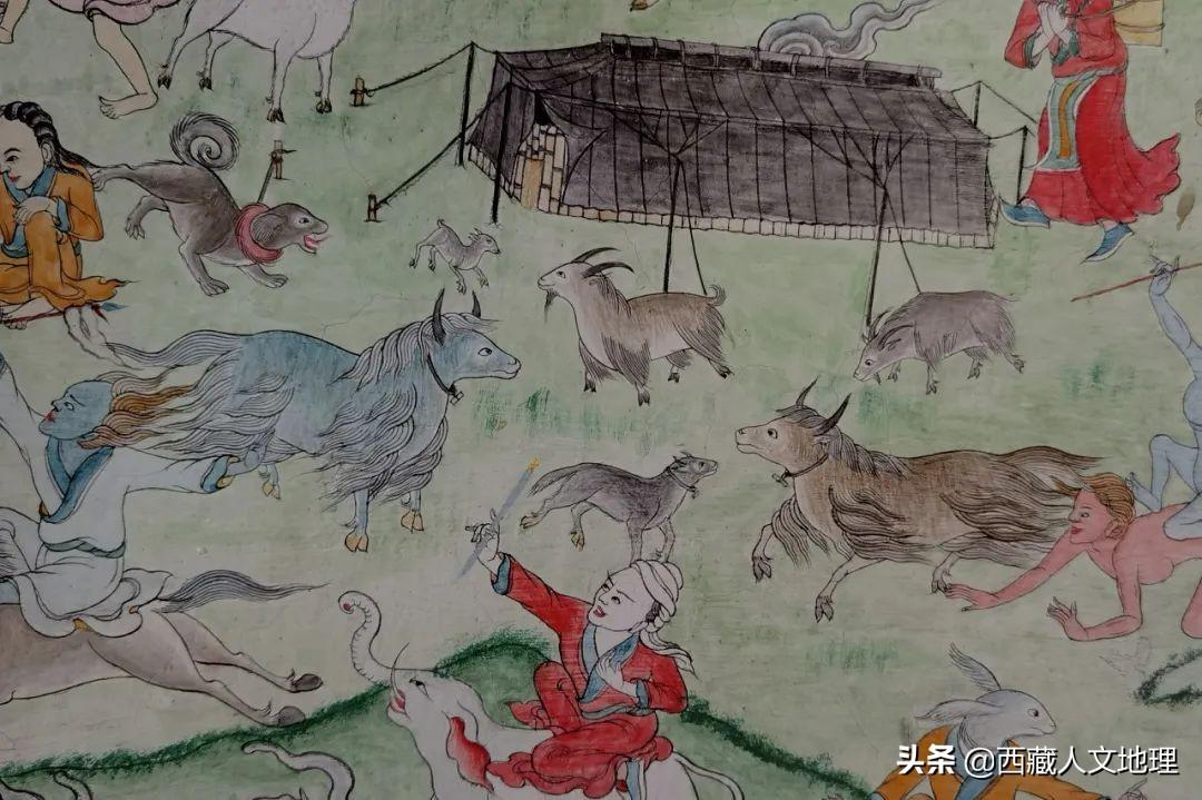 牦牛被称为什么之舟(牦牛凭什么被称为高原之舟)