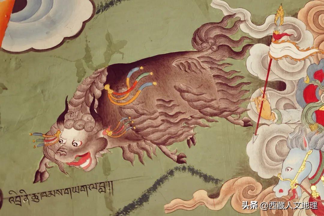 牦牛被称为什么之舟(牦牛凭什么被称为高原之舟)