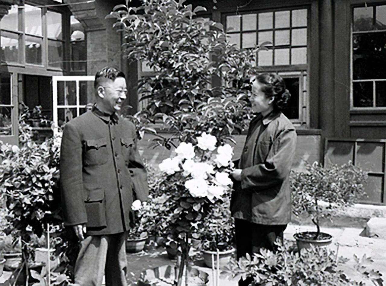 老舍之死的真实原因(解密老舍之死真相)