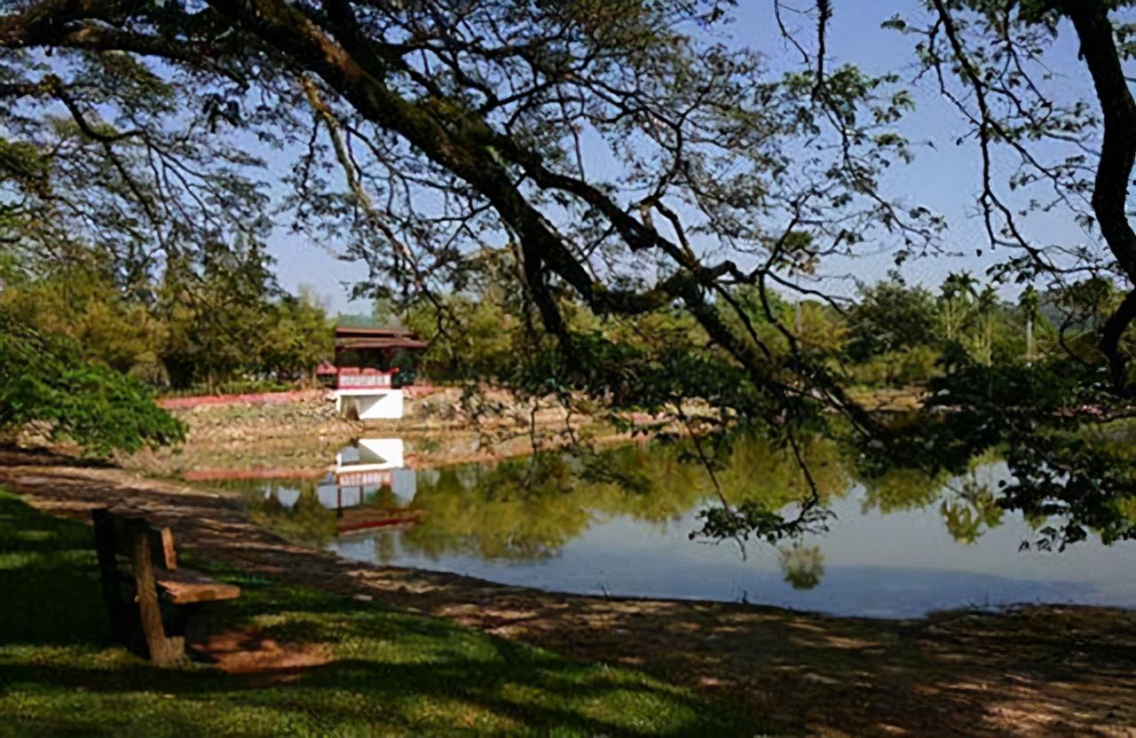 老舍之死的真实原因(解密老舍之死真相)