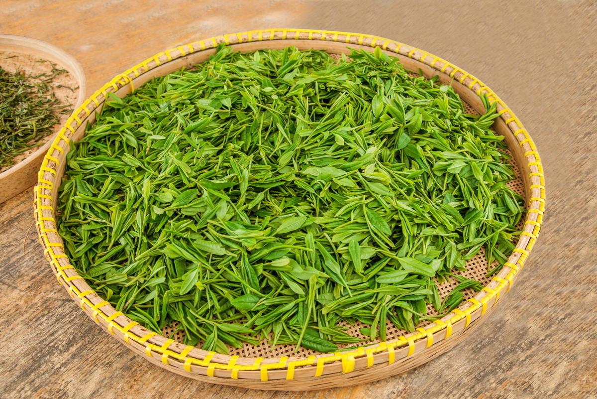 狮龙云虎梅龙井指哪个地方(狮龙云虎梅是指什么)