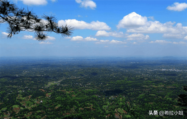 南充旅游景点有哪些地方(南充周边游玩景点推荐)