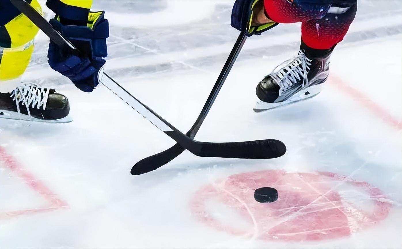 冰球是用什么材料制成的(冰球是用什么材料做的)