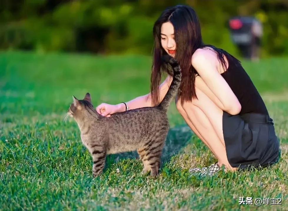 潜力小花向涵之个人简介