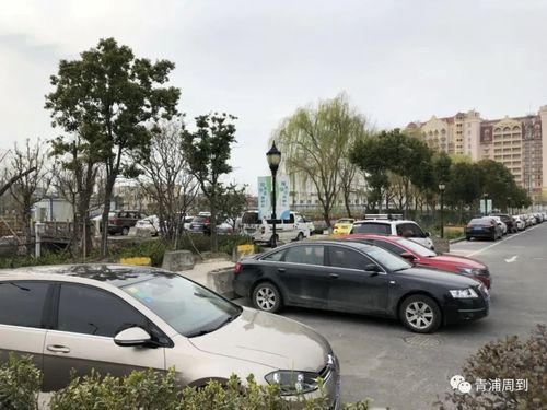 2.景区内有免费停车场一处，停车位120个。