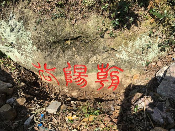 1.景区内有长屿硐天、天子岩、观音洞、石钟乳和石笋等景观，但最主要的还是要看观景台，当然，因为是收费的。