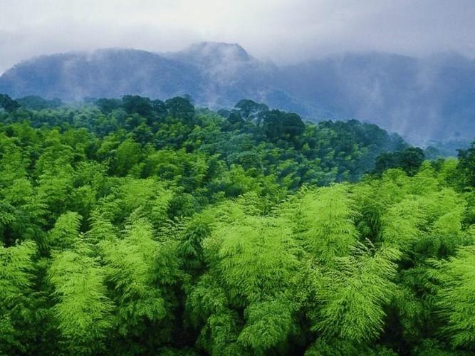 2、二期为夏季，主要景点为一片竹林、冰川湖及索道。