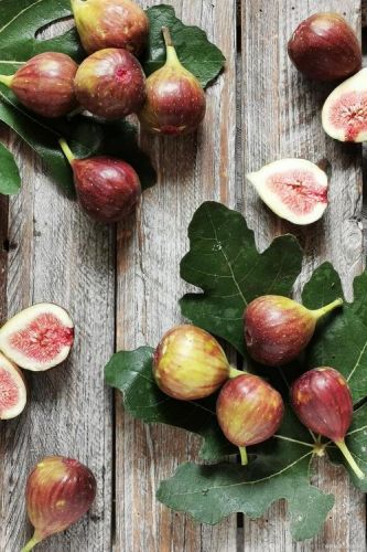 无花果的作用与功效(无花果的作用与功效有哪些)-第1张图片-