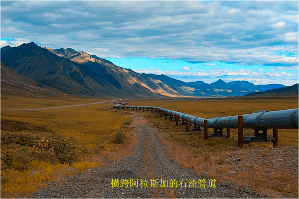 美国的石油主要产自哪个洲(美国各州石油产量)