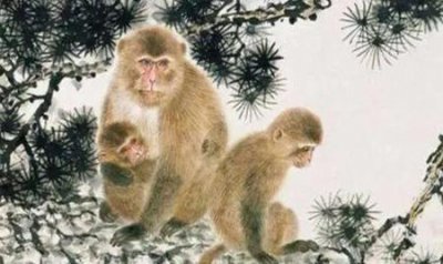 ​人面善心是什么生肖(面善心恶的生肖)