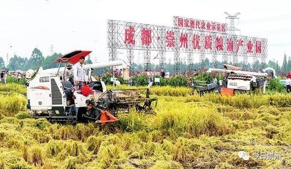 3、崇州生态大坪生态农业观光园。