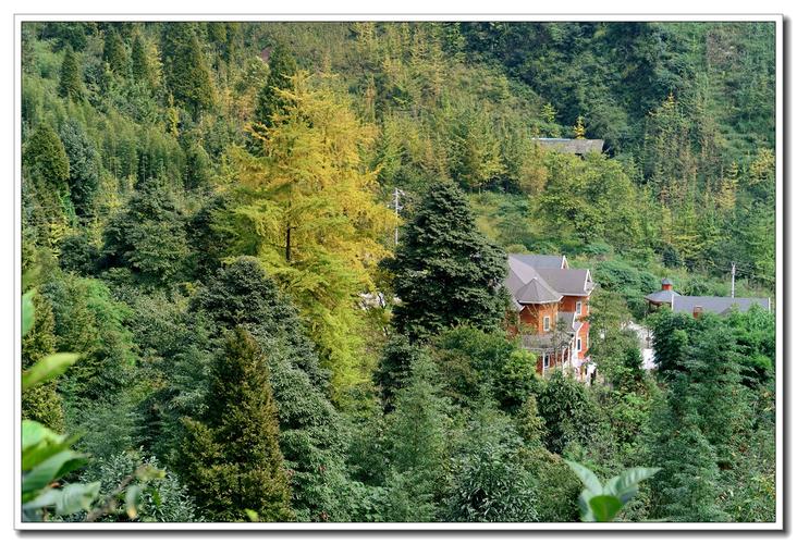 1、大坪生态大坪休闲观光旅游景区（崇州生态大坪）。