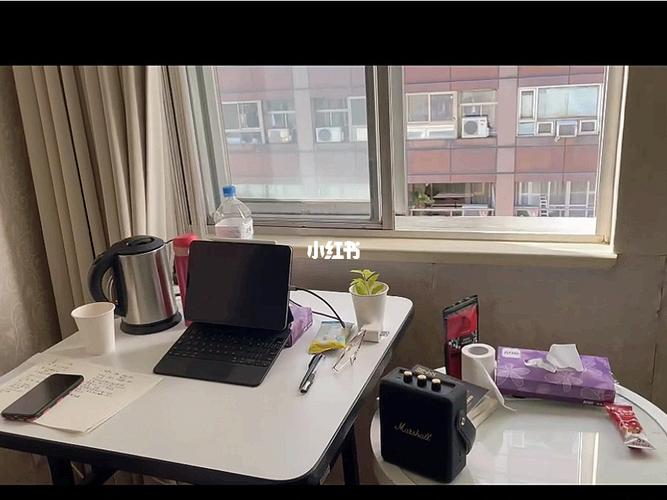 第五天：回到酒店休息。