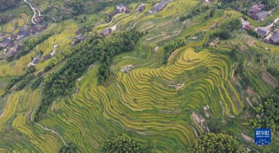 ​安化有什么好玩的景点