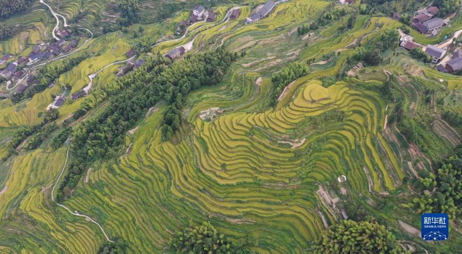 1、安化紫鹊界梯田旅游风景区