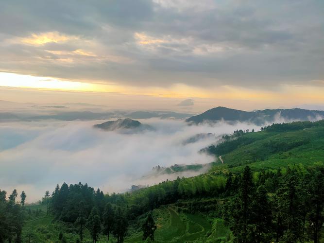 3、安化雪峰山国家森林公园景区