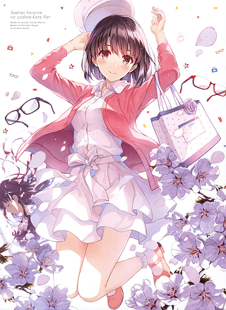 轻小说什么意思(轻小说跟小说有啥区别)