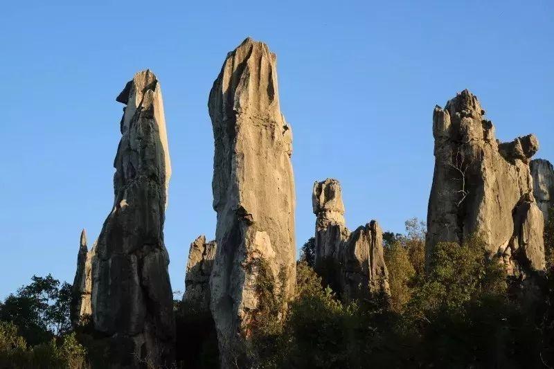 云南石林是什么地貌(石林地貌是怎么形成的)