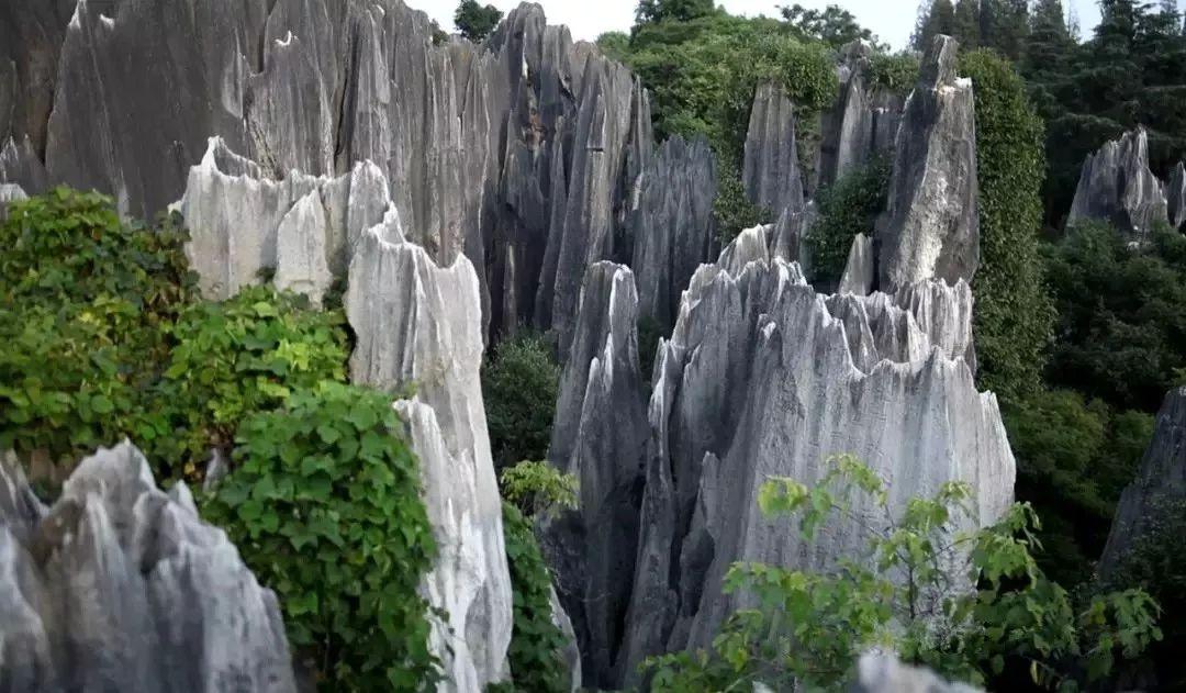 云南石林是什么地貌(石林地貌是怎么形成的)