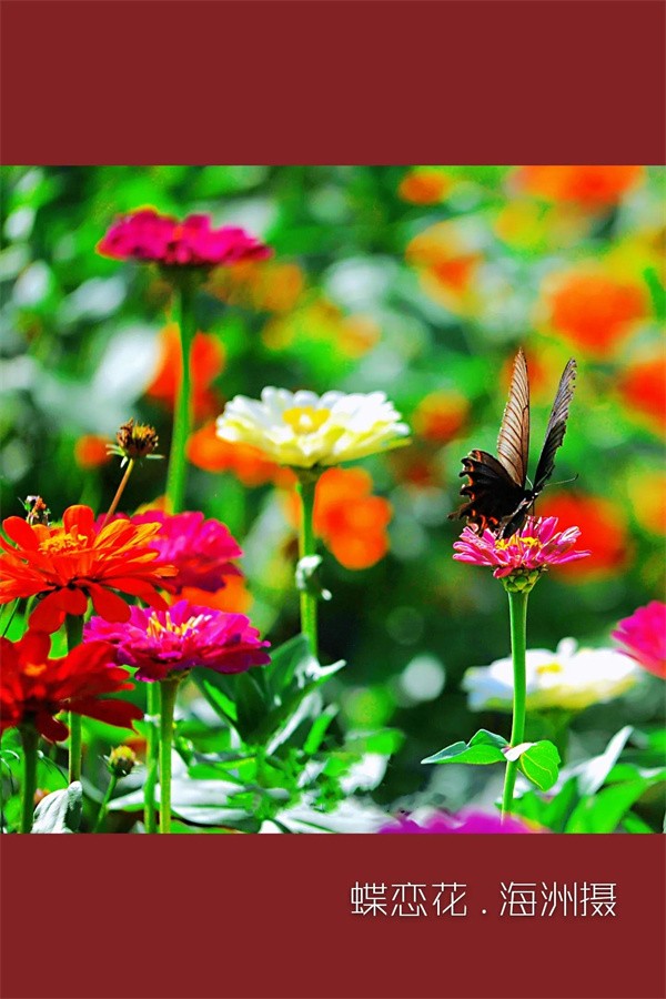 大家闺秀给人的感觉(大家闺秀最大的特点)