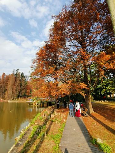 2、华南植物园（广州增城）