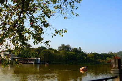 ​广州哪里适合野外露营