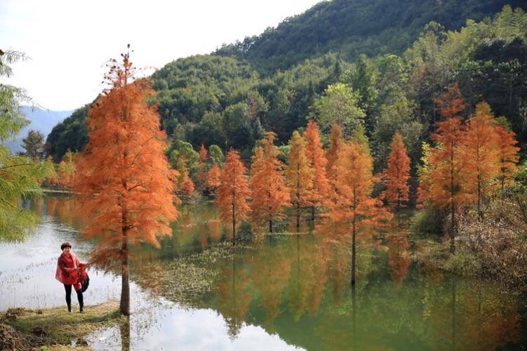 2、台州黄岩黄龙湾景区