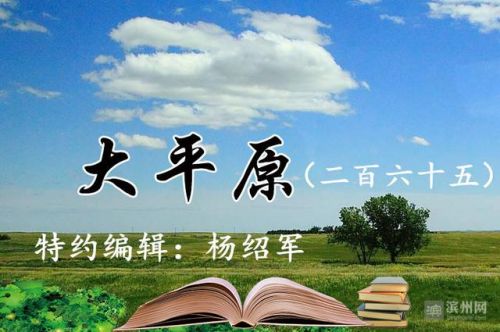 老鼠为什么会飞-第1张图片-