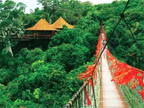 1、大东海国家森林公园