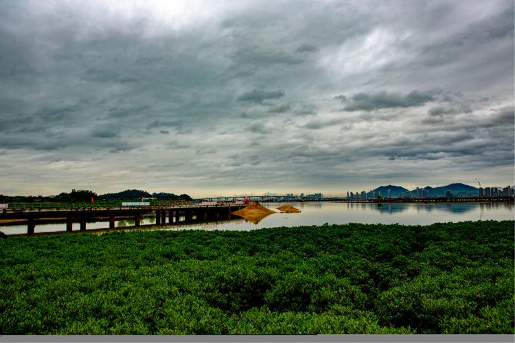 5、红树林湿地公园露营地