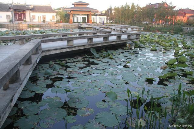 3、清河县吴桥生态园