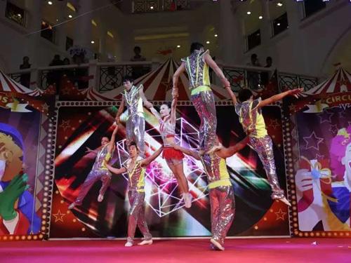 5第五届全国杂技文化艺术节