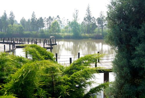 4、大运河湿地公园