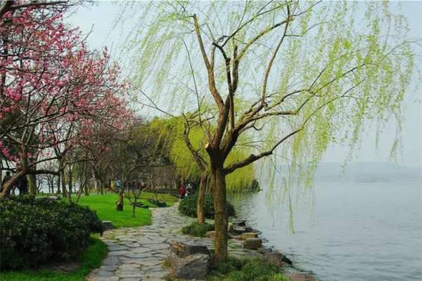 第三天：去苏堤