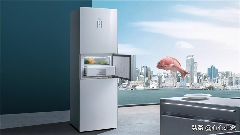 西门子冰箱报警器响个不停（西门子冰箱一直响警报解除）