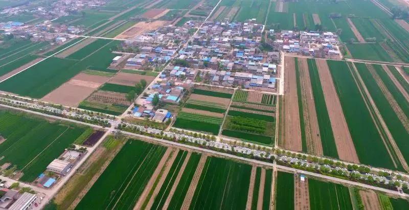 中国五大平原(中国五大平原分别是什么)