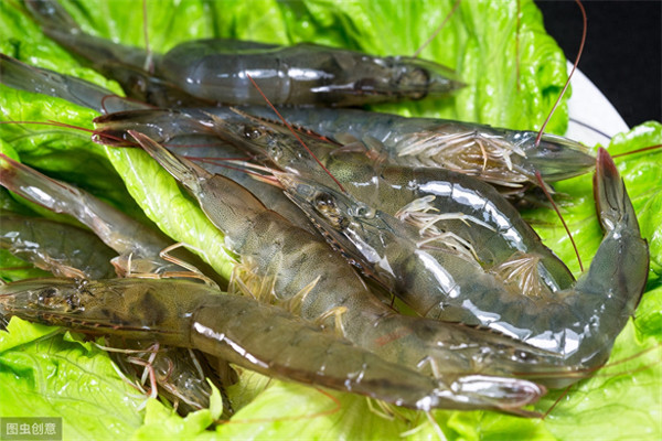 活虾几个小时之内不死(早晨买的活虾晚上吃回来怎么存放)