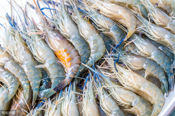 活虾几个小时之内不死(早晨买的活虾晚上吃回来怎么存放)