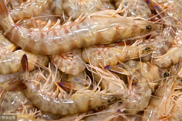 活虾几个小时之内不死(早晨买的活虾晚上吃回来怎么存放)