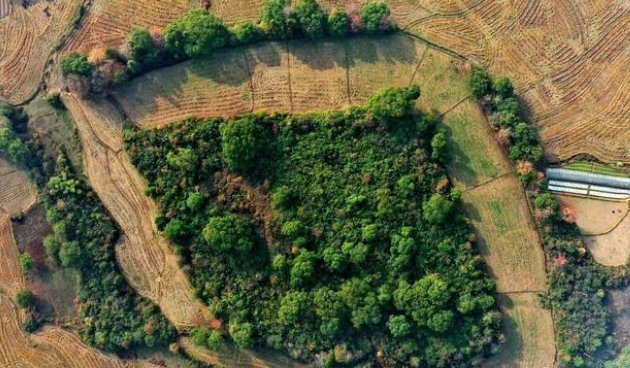 江西发现史前遗址