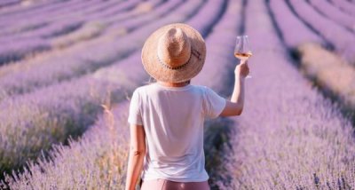 ​法国葡萄酒庄园数量(法国葡萄酒aoc等级)