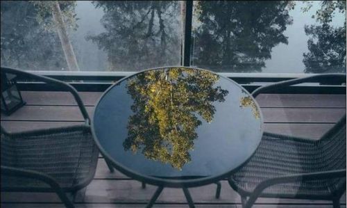 扑朔迷离出自哪里(扑朔迷离出自木兰诗中的诗句)-第1张图片-