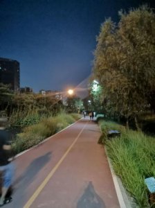 ​公园之夜fm高能(公园之夜fm连接)