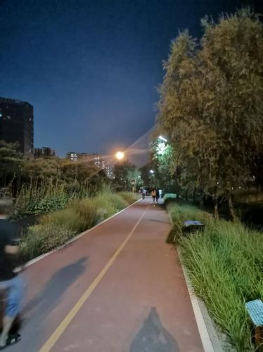 公园之夜fm高能(公园之夜fm连接)-第1张图片-