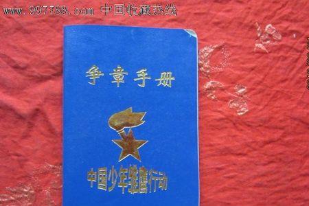 雏鹰少年是什么奖