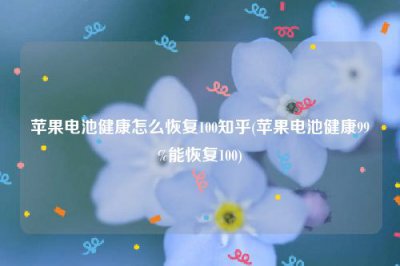 ​苹果电池健康怎么恢复100知乎(苹果电池健康99%能恢复100)