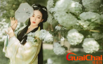 ​形容女人气质优雅漂亮的句子有哪些？古风形容女人气质优雅漂亮的句子是什么？