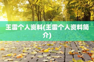 ​王雷个人资料(王雷个人资料简介)